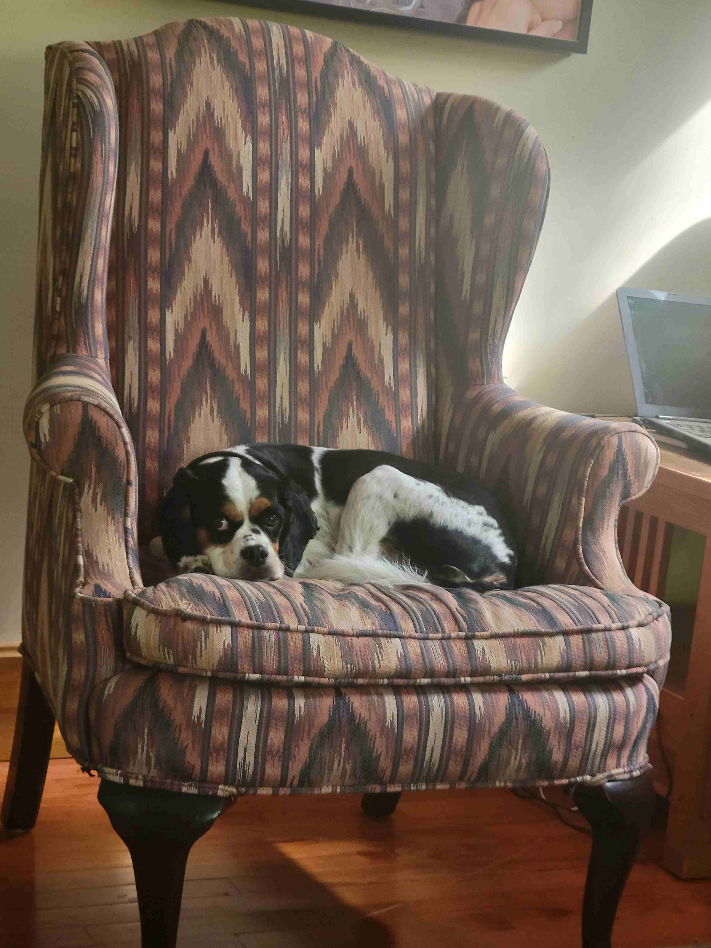 2022-09-18 Gussie's sentinel.jpg